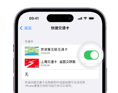 贡觉apple维修点分享iPhone上更换Apple Pay快捷交通卡手绘卡面 