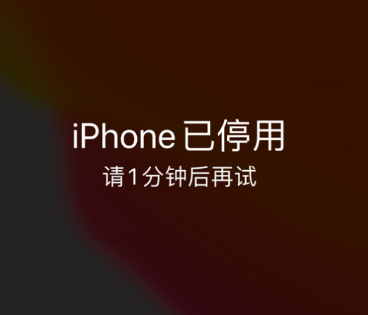 贡觉苹果手机维修分享:iPhone 显示“不可用”或“已停用”怎么办？还能保留数据吗？ 