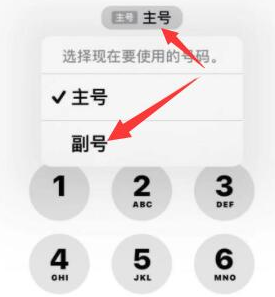 贡觉苹果14维修店分享iPhone 14 Pro Max使用副卡打电话的方法 