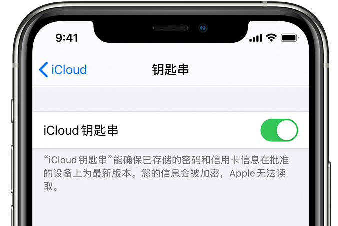 贡觉苹果手机维修分享在 iPhone 上开启 iCloud 钥匙串之后会储存哪些信息 