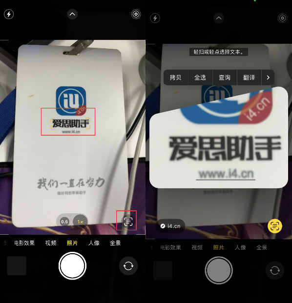 贡觉苹果手机维修分享升级iOS 16后如何通过相机翻译文本 