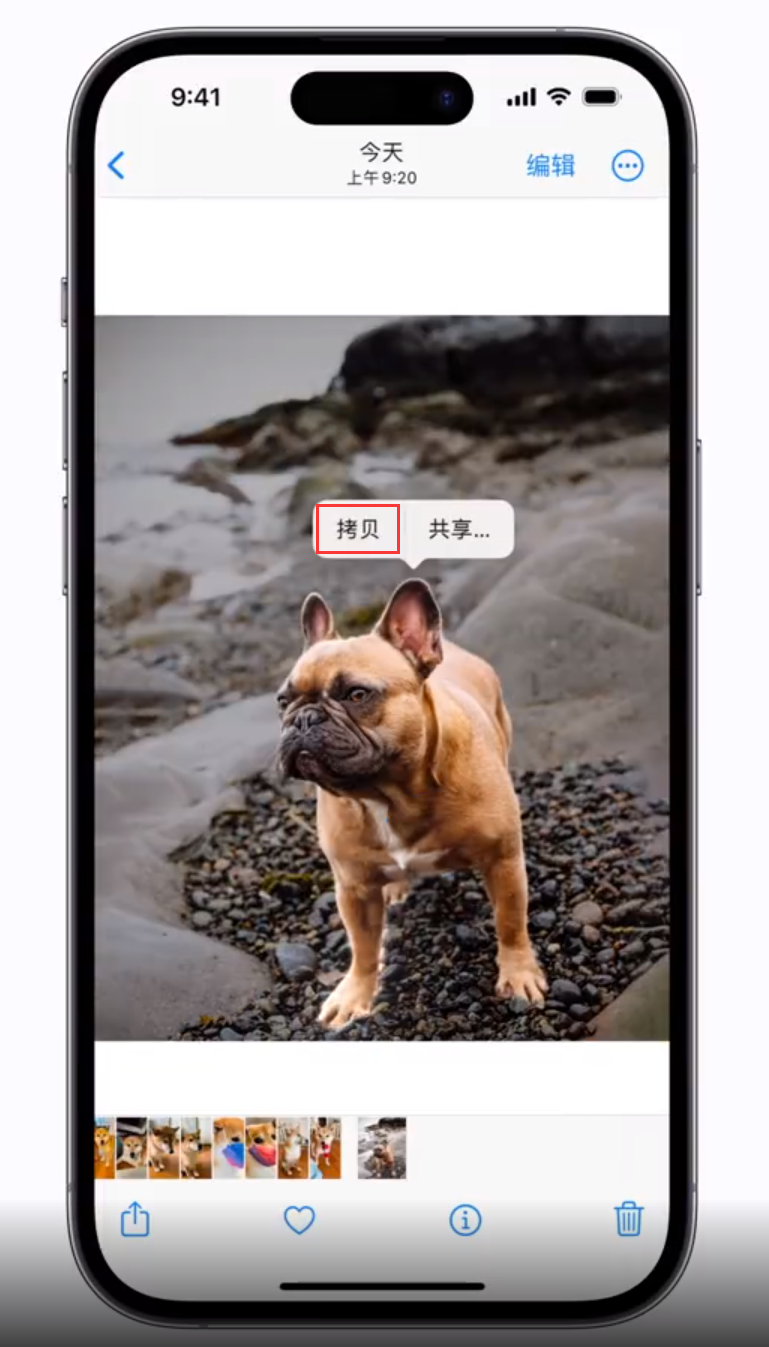 贡觉苹果手机维修分享 iOS 16 自带一键抠图功能 