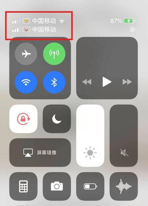 贡觉苹果手机维修分享为 iPhone 12 双卡设置标签 
